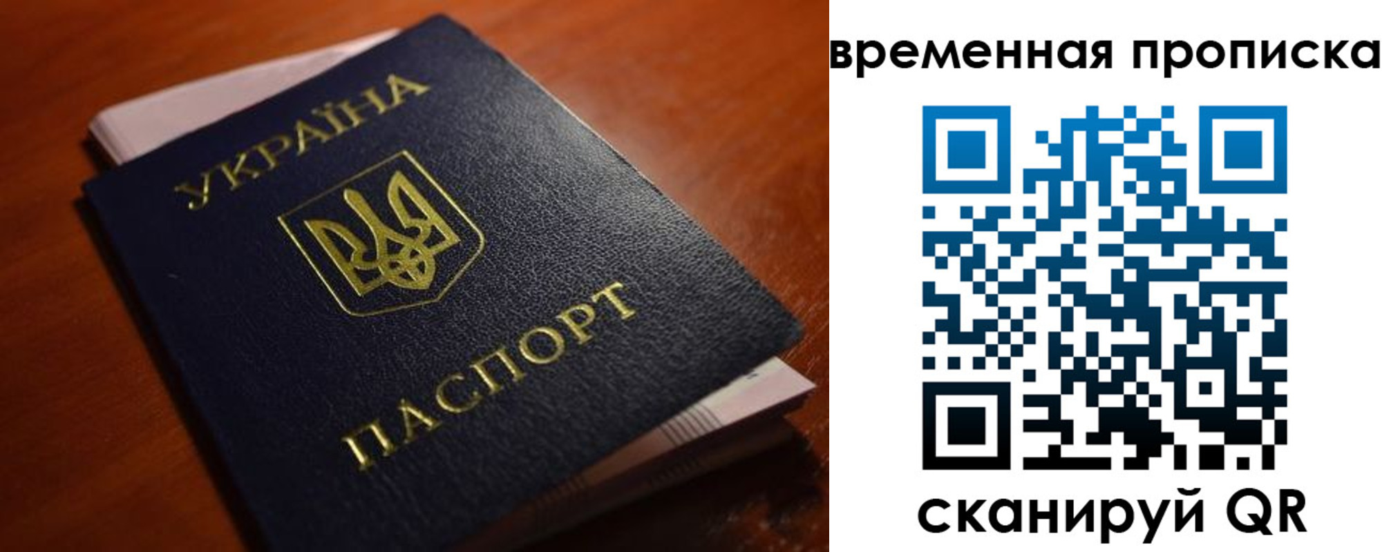 прописка гарантия в Ртищево